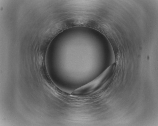 X0000089870227200706281324