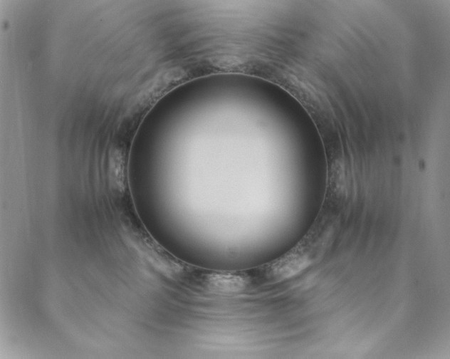 X0000089870234200706281324