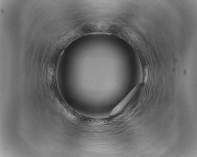 X0000089870235200706281324
