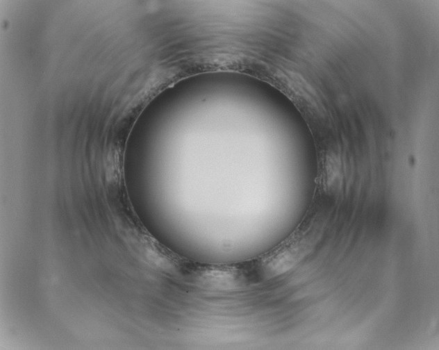 X0000089870236200706281324