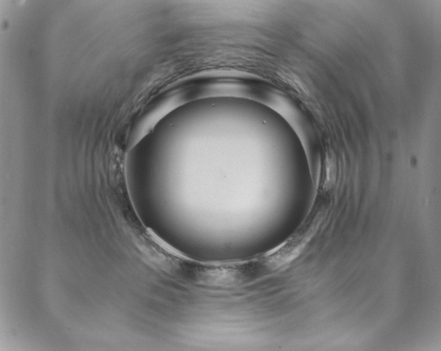 X0000089870237200706281324