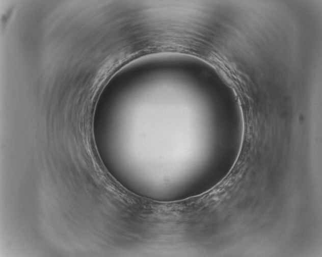 X0000089870241200706281323