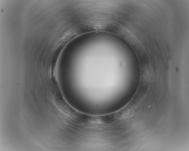 X0000089870262200706281323