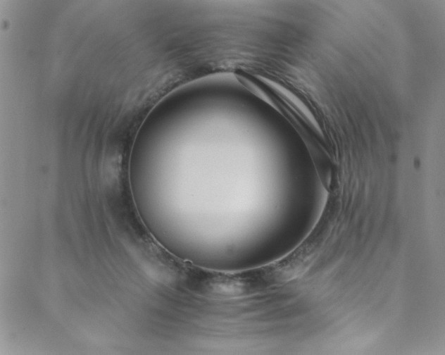 X0000089870263200706281323