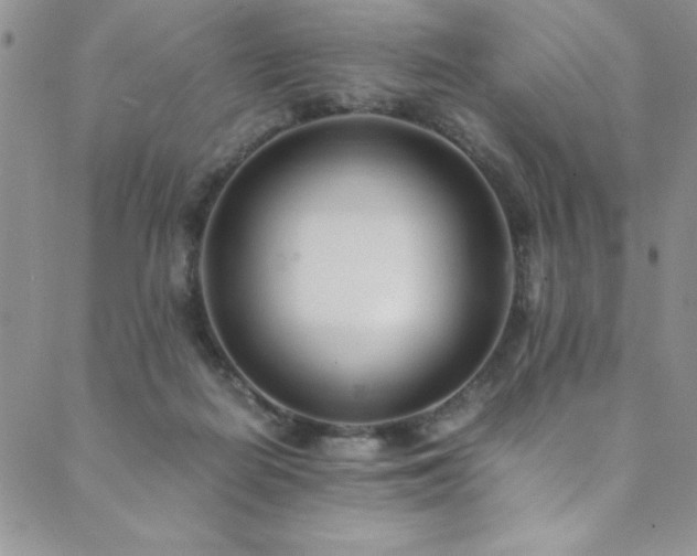 X0000089870266200706281323
