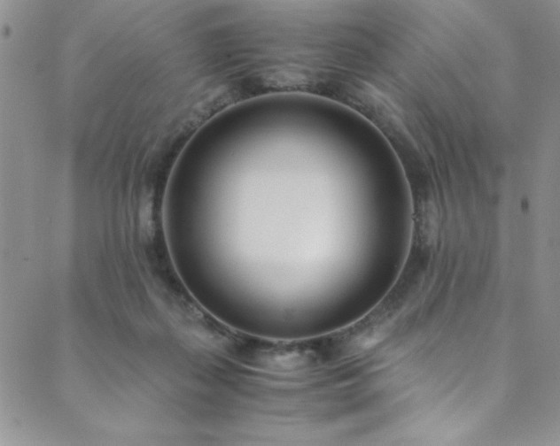 X0000089870267200706281323