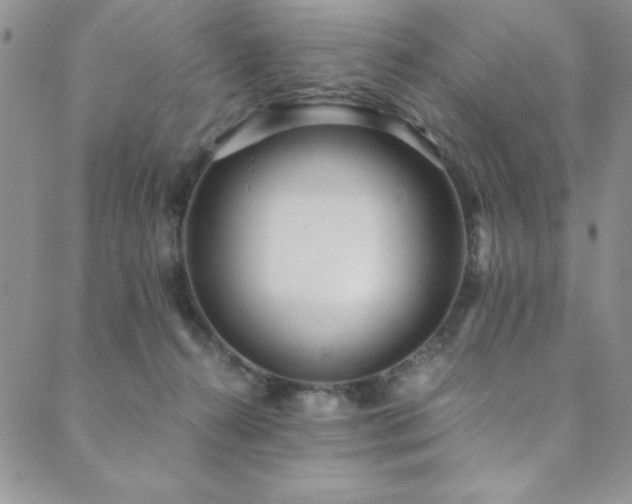 X0000089870272200706281323