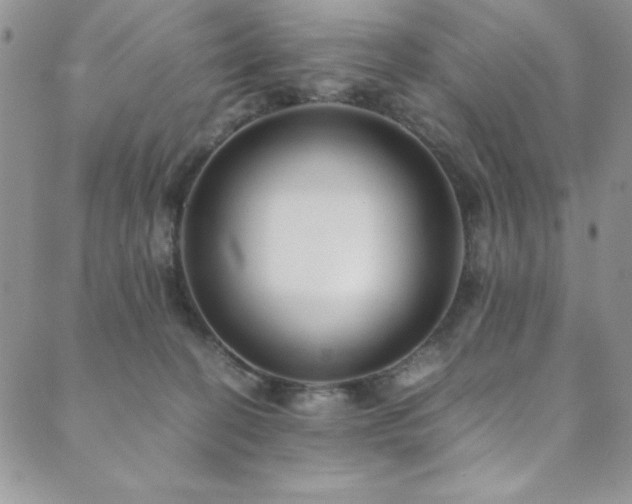 X0000089870274200706281323