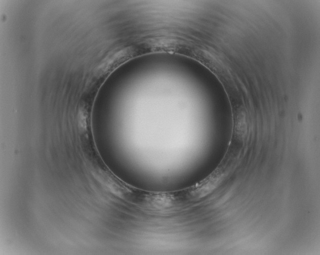 X0000089870282200706281323