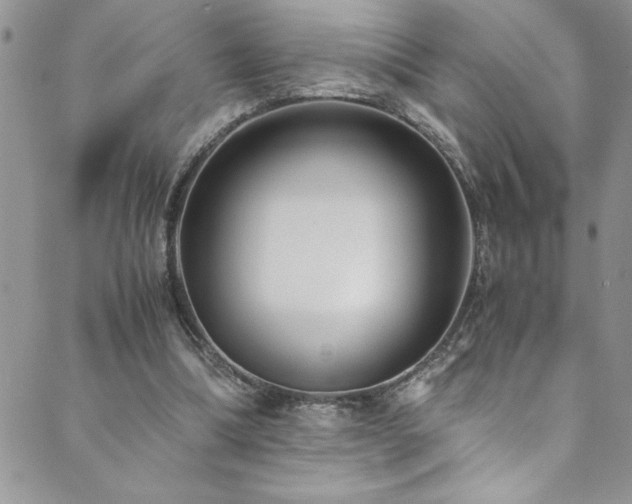 X0000089870298200706281323