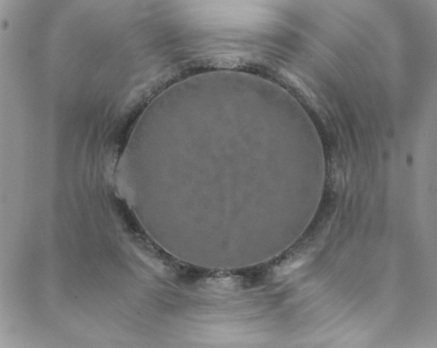 X0000089870307200706281322