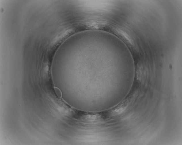 X0000089870314200706281322