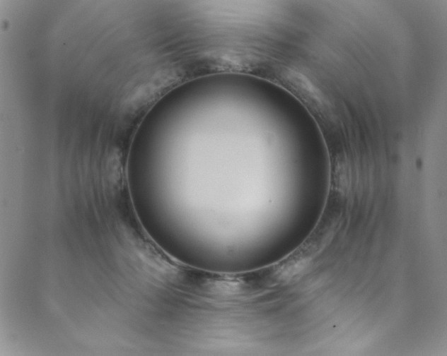 X0000089870318200706281322