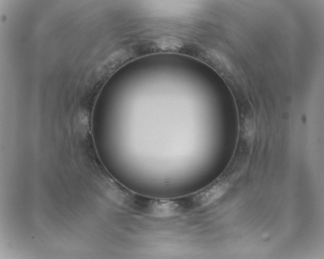 X0000089870321200706281322