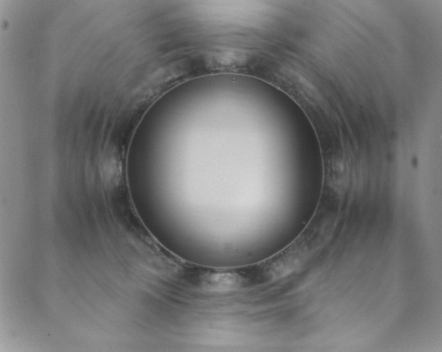 X0000089870324200706281322