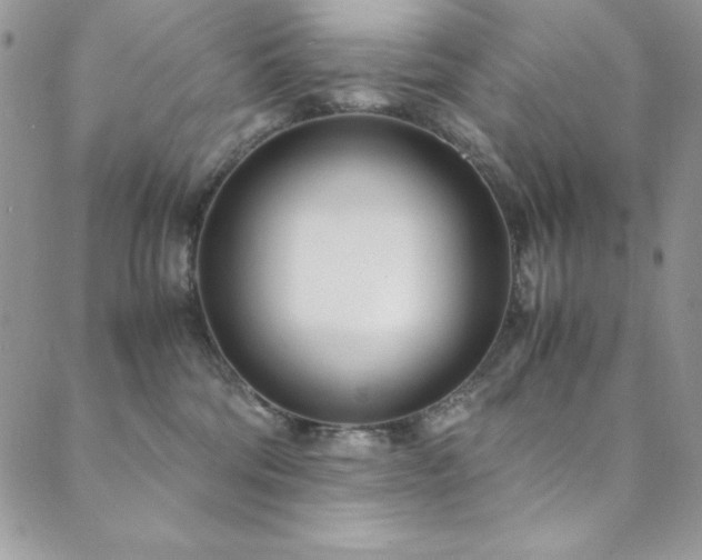 X0000089870330200706281322