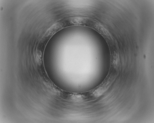 X0000089870332200706281322