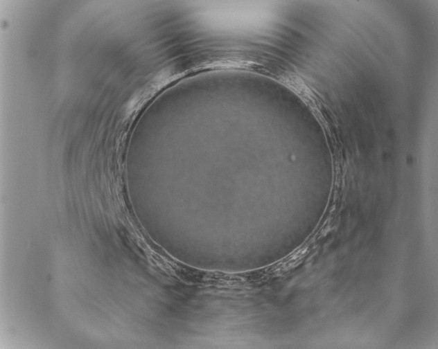 X0000089870337200706281321