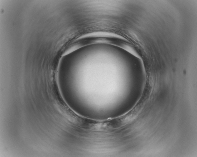 X0000089870366200706281322