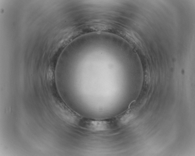 X0000089870371200706281322