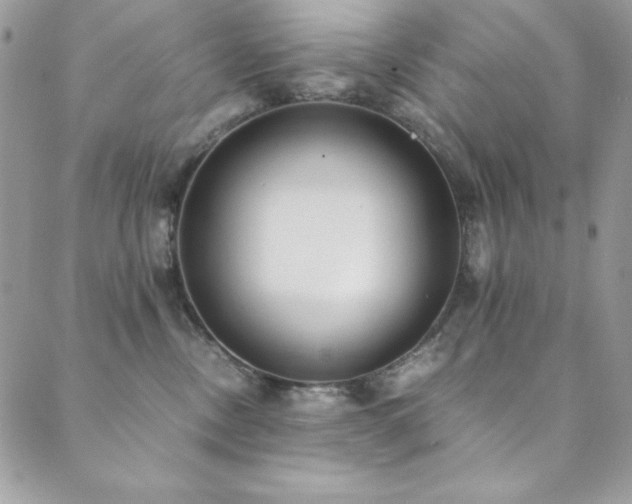X0000089870378200706281322