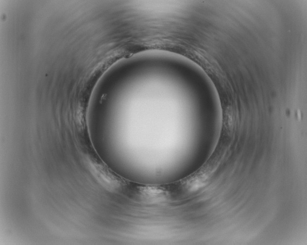 X0000089870380200706281322
