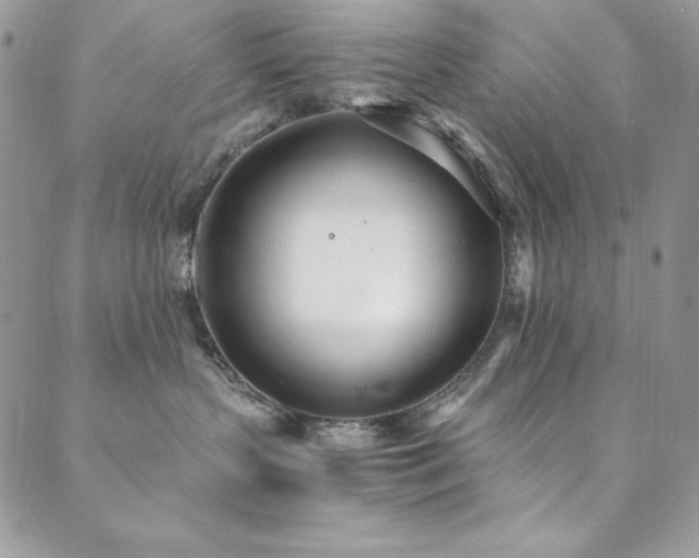 X0000089870383200706281322