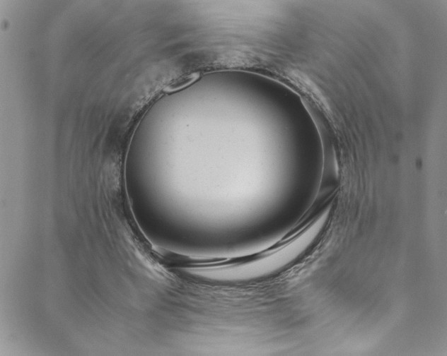 X0000089870393200706281321