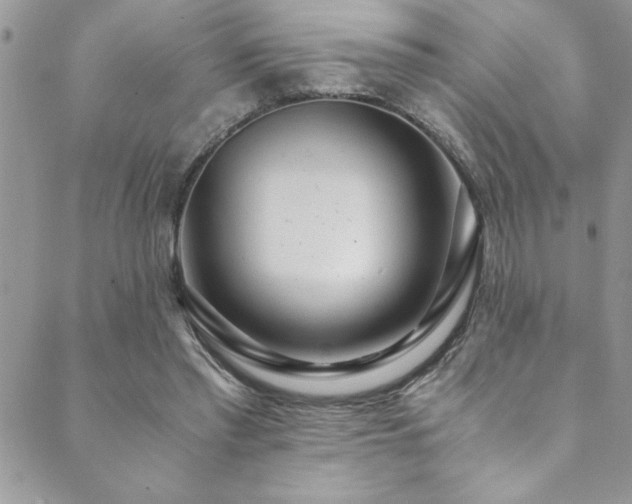 X0000089870397200706281321