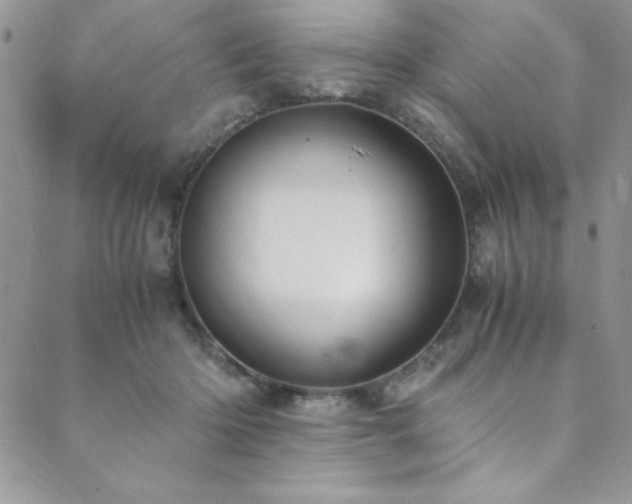 X0000089870414200706281321