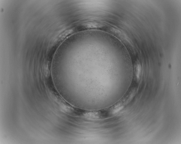 X0000089870422200706281321