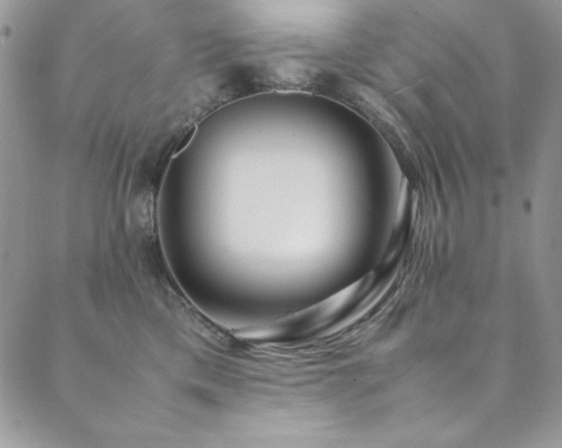 X0000089870425200706281321