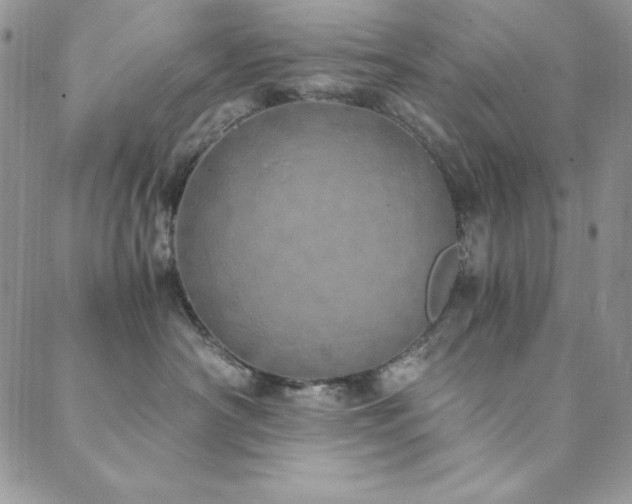 X0000089870430200706281320