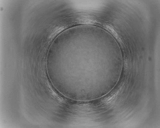 X0000089870433200706281320