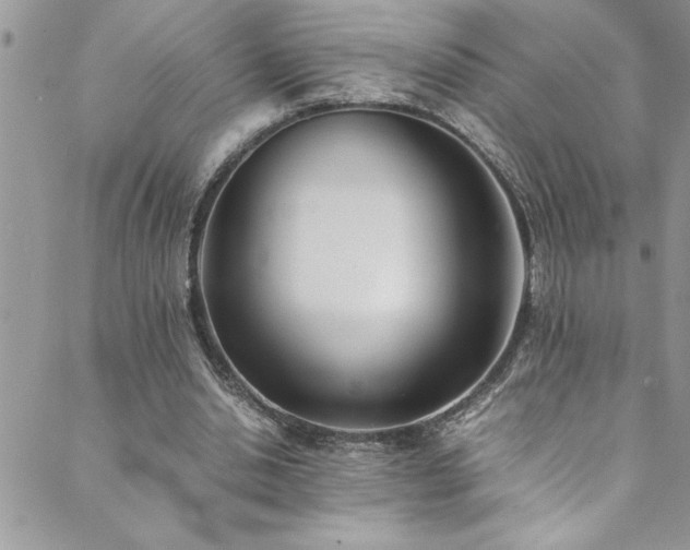 X0000089870438200706281320