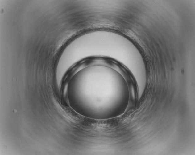 X0000089870448200706281320