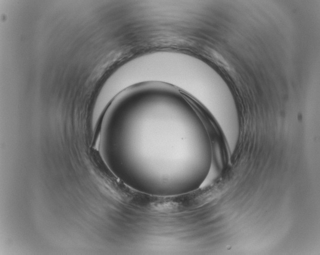 X0000089870452200706281320