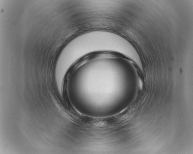 X0000089870456200706281320