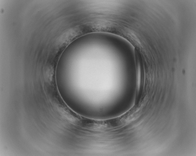 X0000089870458200706281320