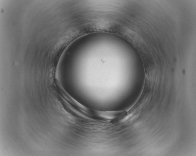 X0000089870462200706281320