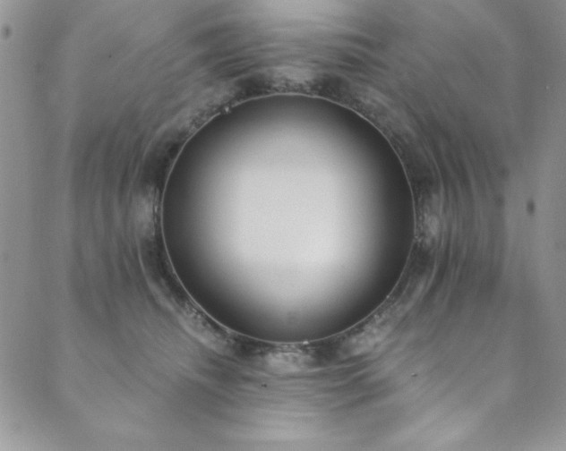 X0000089870468200706281320