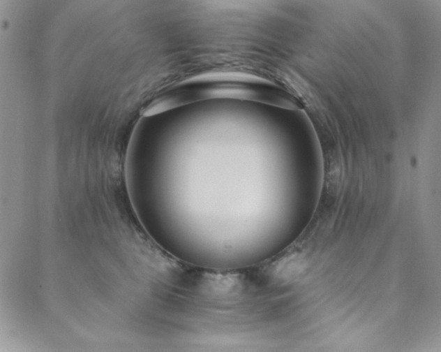 X0000089870469200706281320