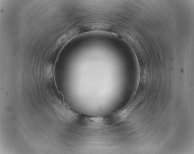 X0000089870478200706281320