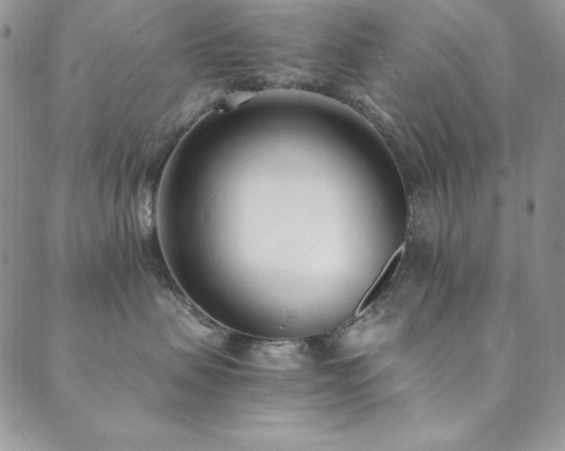 X0000089870479200706281320