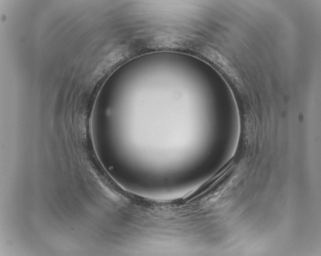 X0000089870489200706281319