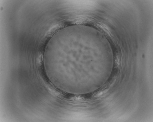 X0000089870503200706281319