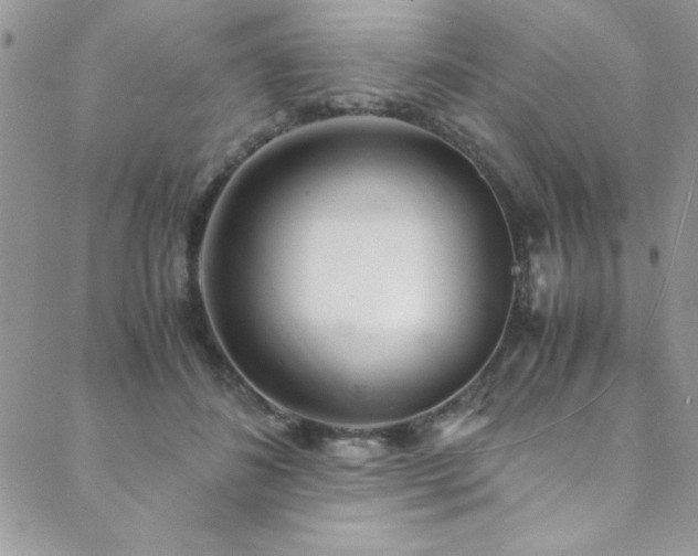 X0000089870508200706281319