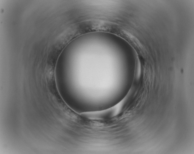 X0000089870513200706281319