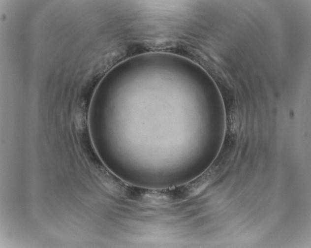 X0000089870515200706281319
