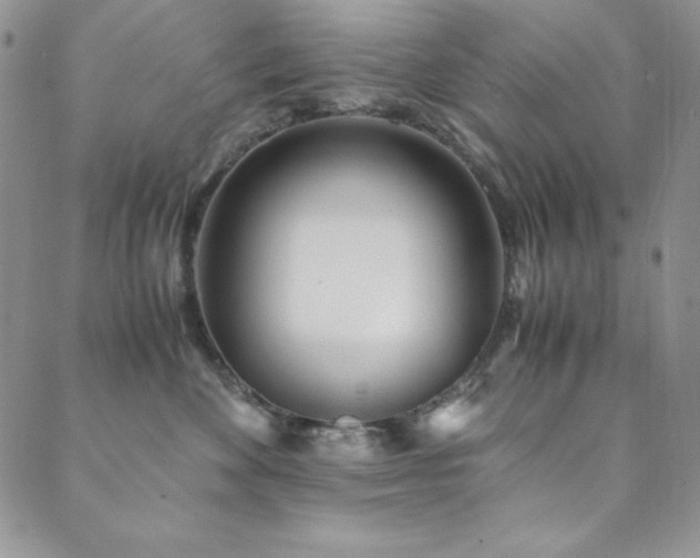 X0000089870524200706281319